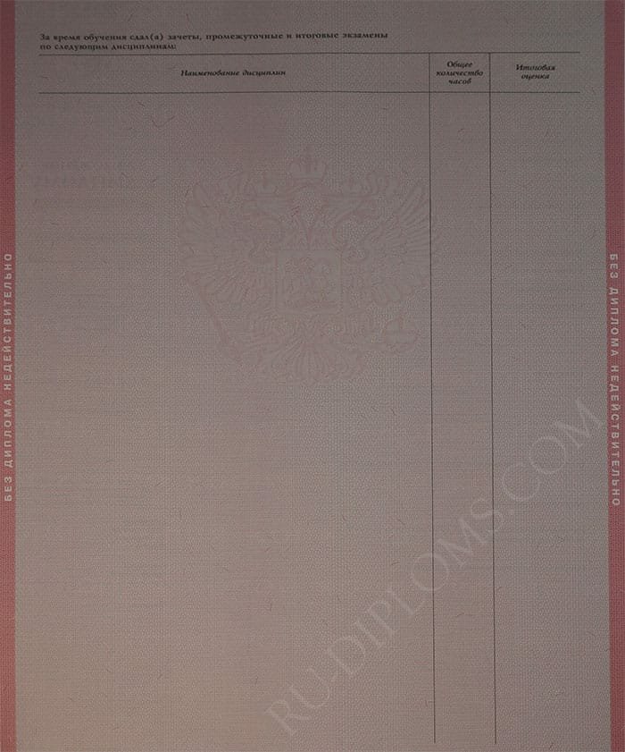 Диплом техникума или колледжа 2004-2006 год 