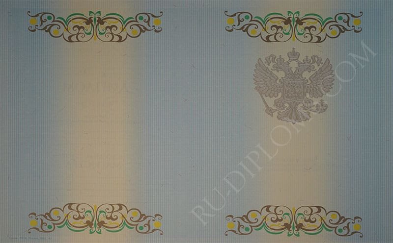 Диплом магистра 2010-2013 год 